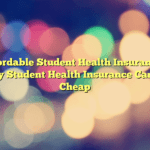 Affordable Student Health Insurance – Why Student Health Insurance Can Be Cheap