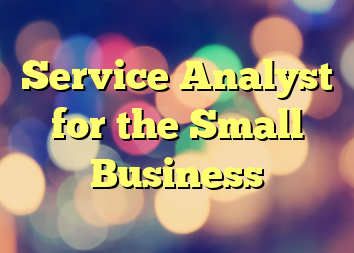 Service Analyst for the Small Business