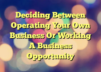 Deciding Between Operating Your Own Business Or Working A Business Opportunity