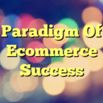 Paradigm Of Ecommerce Success