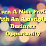 Turn A Nice Profit With An Ameriplan Business Opportunity