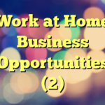 Work at Home Business Opportunities (2)