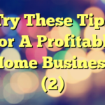 Try These Tips For A Profitable Home Business (2)