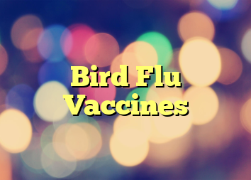 Bird Flu Vaccines