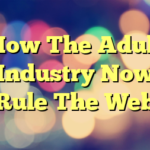 How The Adult Industry Now Rule The Web