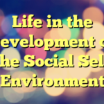 Life in the Development of the Social Self Environment