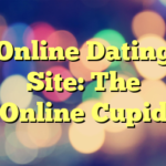 Online Dating Site: The Online Cupid