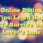 Online Dating Tips: Learn How To Survive On Lover’s Lane