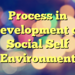 Process in Development of Social Self Environment