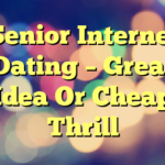 Senior Internet Dating – Great Idea Or Cheap Thrill