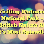 Visiting Dartmoor National Park – British Nature At It’s Most Splendid