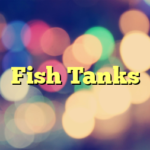 Fish Tanks