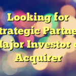 Looking for Strategic Partner, Major Investor or Acquirer