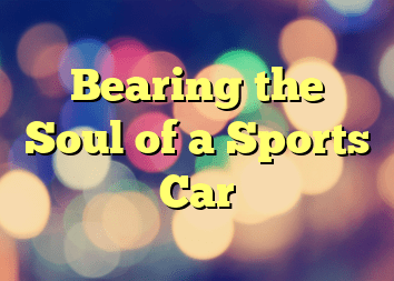 Bearing the Soul of a Sports Car