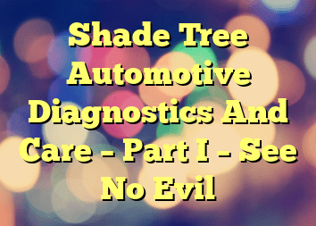 Shade Tree Automotive Diagnostics And Care – Part I – See No Evil