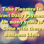 Take Pleasure In Direct Daily Payments for many years to Come with these Business Ideas