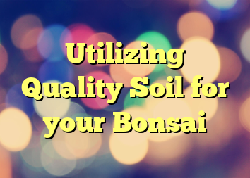 Utilizing Quality Soil for your Bonsai
