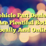 Vehicle Part Dealers Are Plentiful Both Locally And Online