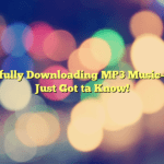 Lawfully Downloading MP3 Music– You Just Got ta Know!